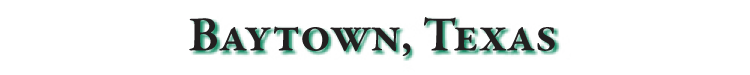 TANK SERVICES, INC. — Tank & Parts Distributor, New & Used, Custom Builds, Petroleum Trailers, Dump Trailers, Vacuum Trailers & Trucks, Oil Trucks, Steel Tanks, Aluminum Tanks, Service Trucks, Propane Trucks, Portable Restroom Trucks, Slide-In Units, Service & Repairs, Green Cleaning Products